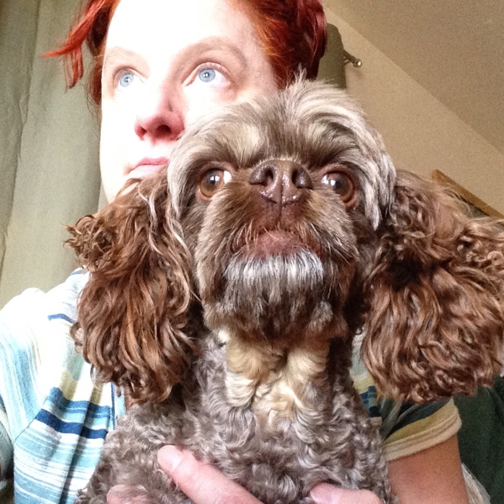 Meet your Posher, Posh